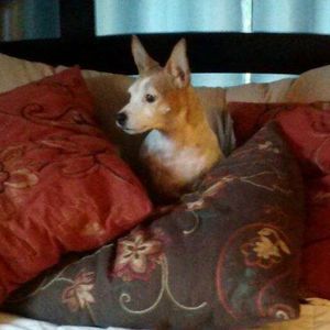 Meet your Posher, Michelle